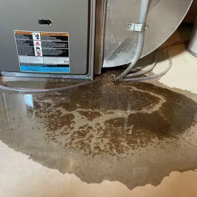 Appliance Leak Cleanup in Livermore, CA